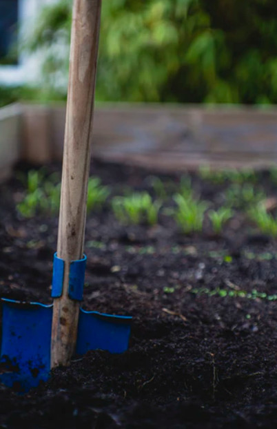 Od czego zacząć wiosenne porządki w ogródku?