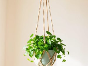 Makrama kwietnik DIY: krok po kroku od wyboru sznurka do idealnego dopasowania doniczki i zawieszenia