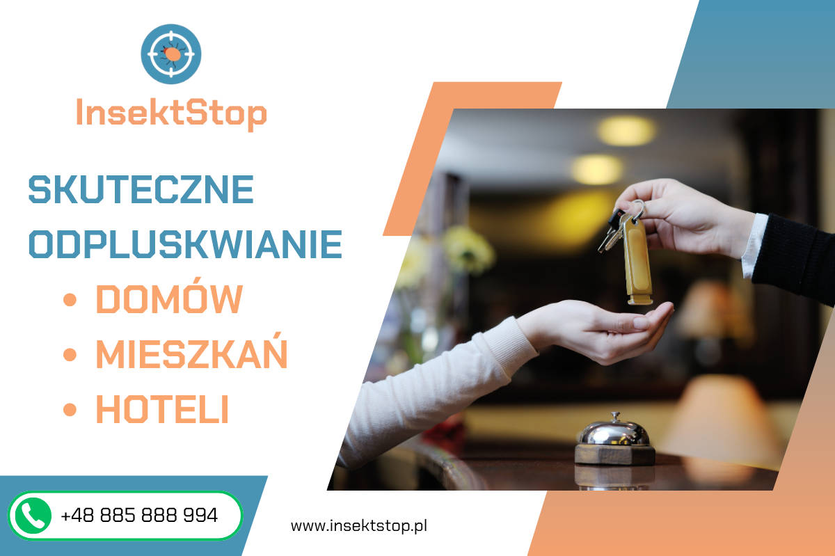 insektstop.pl dezynsekcja